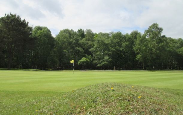 18 Holes of Golf for Two at New Forest Golf Club (afternoons)